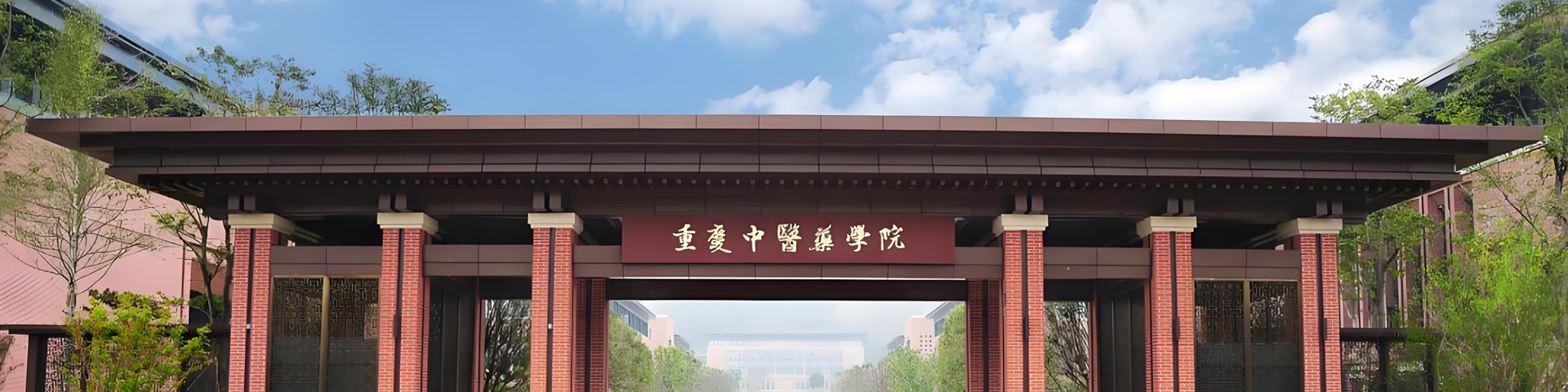 重庆中医药学院