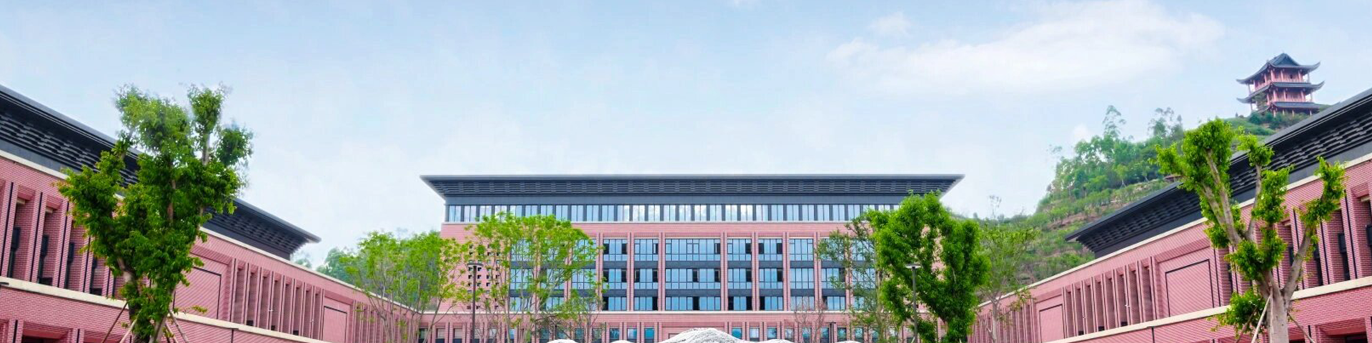 重庆中医药学院